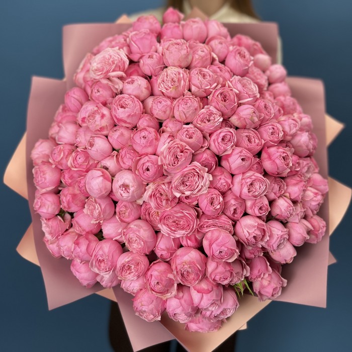 51 кустовая пионовидная Роза Мансфилд Пинк Парк 40 см