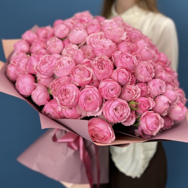 51 кустовая пионовидная Роза Мансфилд Пинк Парк 40 см