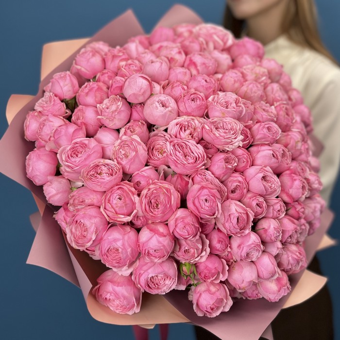 51 кустовая пионовидная Роза Мансфилд Пинк Парк 40 см