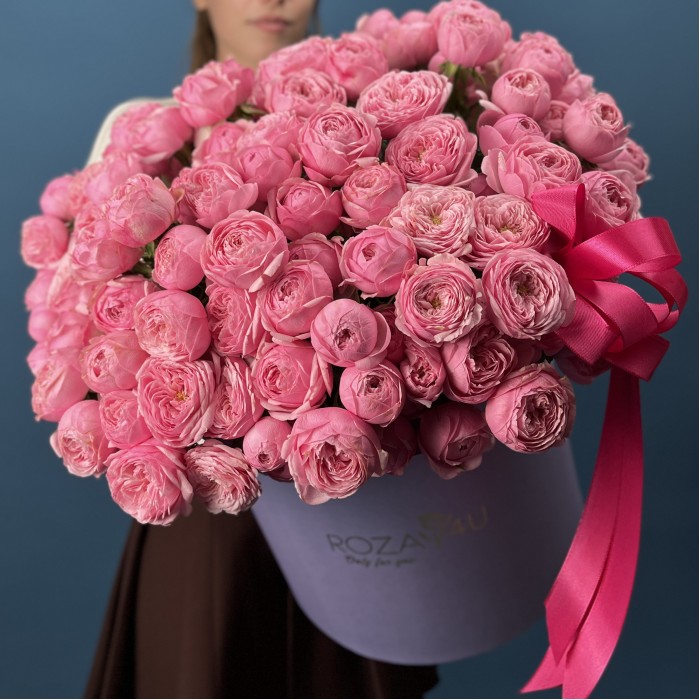 51 кустовая пионовидная Роза Мансфилд Пинк Парк в коробке