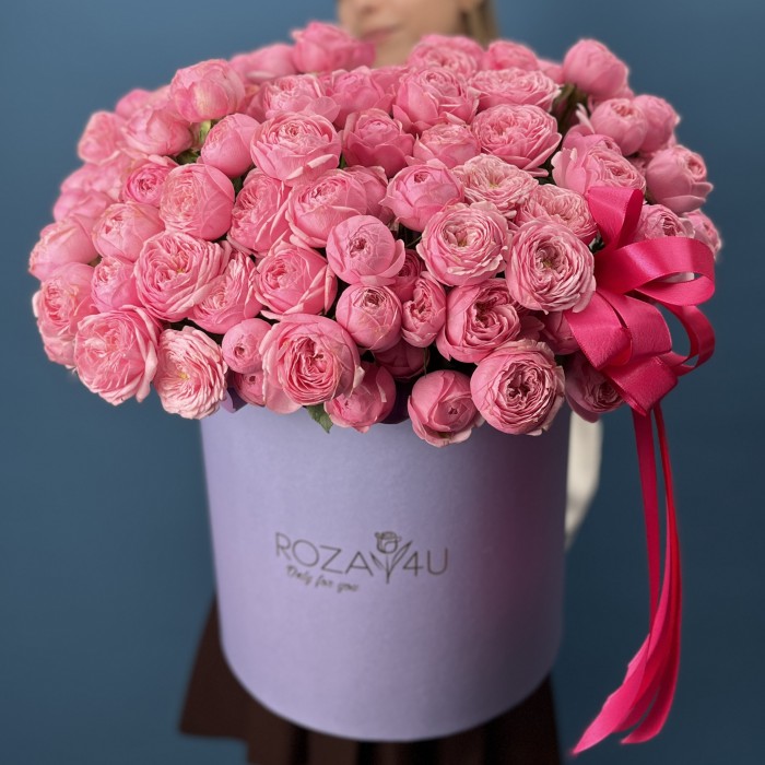 51 кустовая пионовидная Роза Мансфилд Пинк Парк в коробке