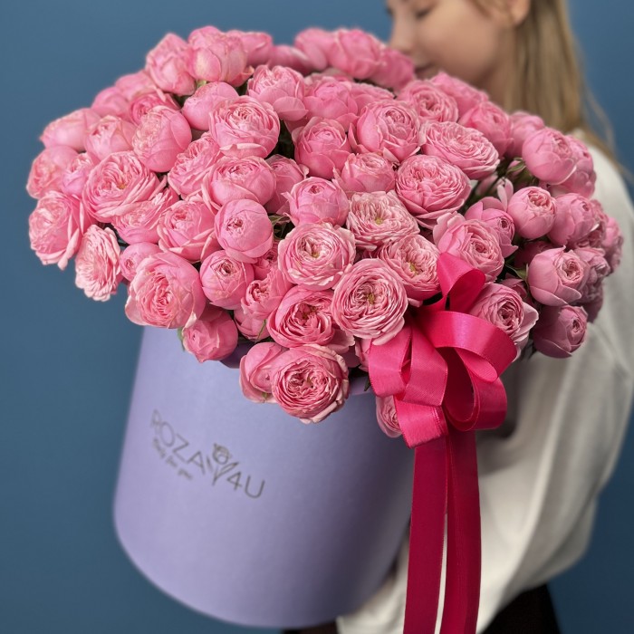 51 кустовая пионовидная Роза Мансфилд Пинк Парк в коробке