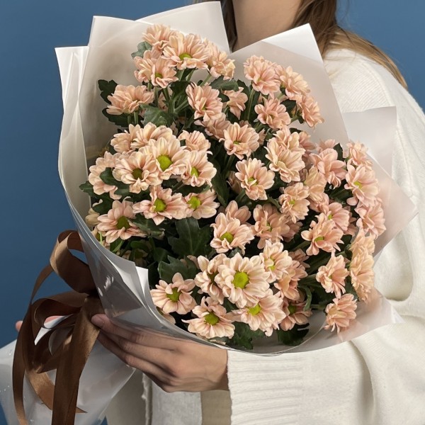 7 кустовых хризантем Капуцино