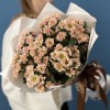 7 кустовых хризантем Капуцино