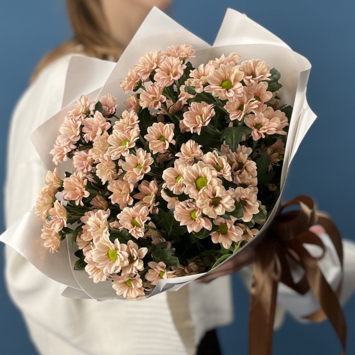 7 кустовых хризантем Капуцино