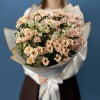 9 кустовых хризантем Капуцино