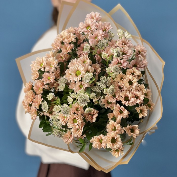 9 кустовых хризантем Капуцино