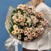 9 кустовых хризантем Капуцино