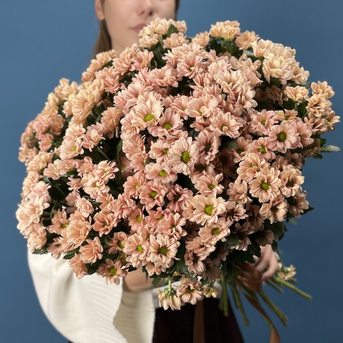 Хризантема кустовая Капуцино