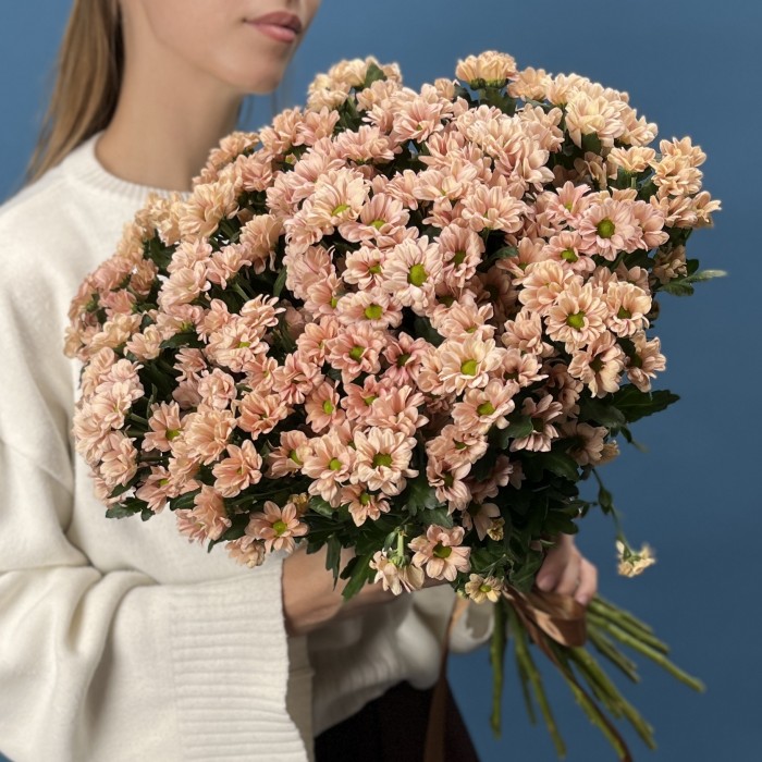 Хризантема кустовая Капуцино