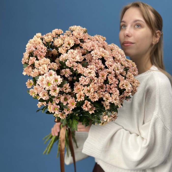 Хризантема кустовая Капуцино