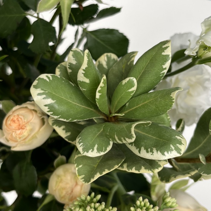 Настольная композиция эхо тишины