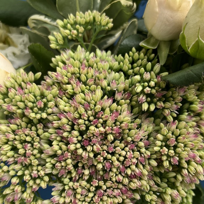 Настольная композиция эхо тишины