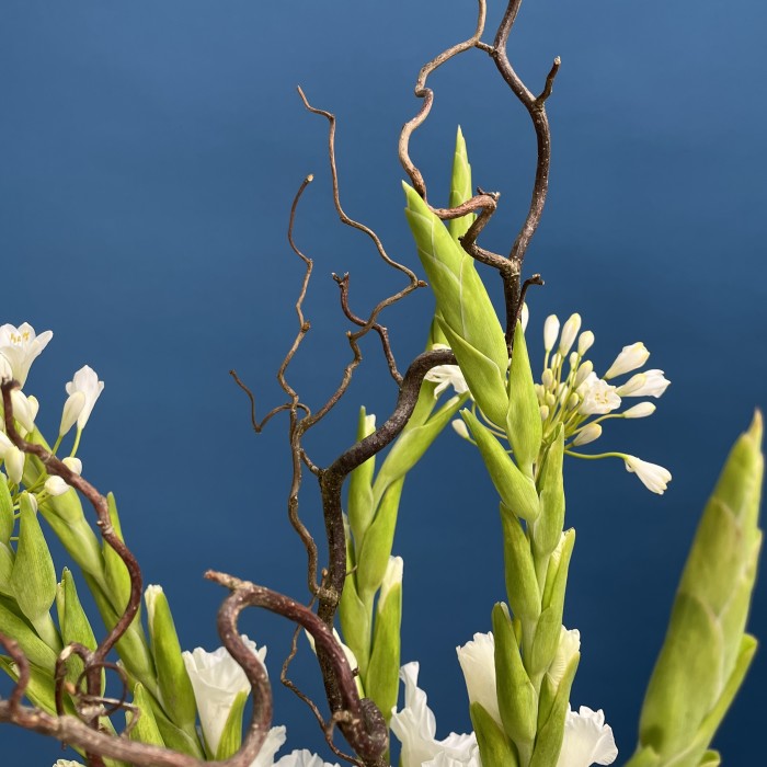 Настольная композиция с гладиолусами Белый Джаз