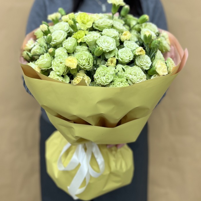 13 зеленых кустовых роз с гвоздикой