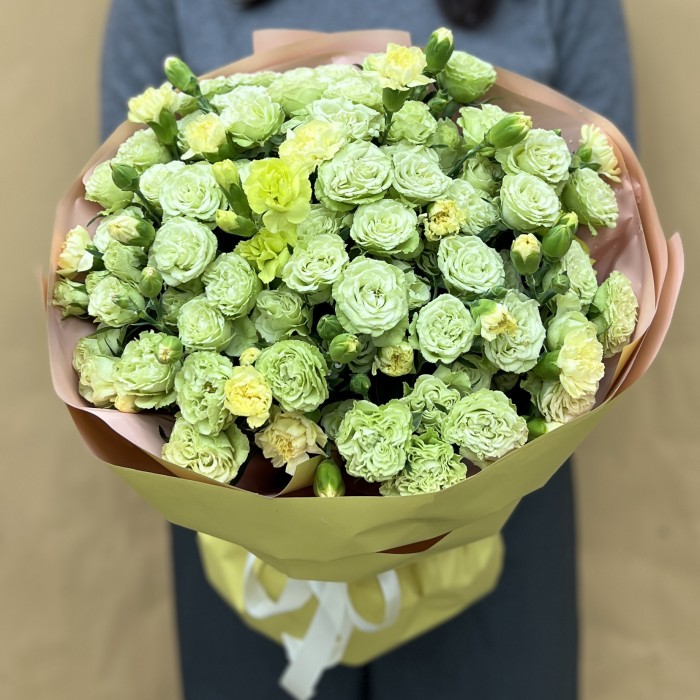 13 зеленых кустовых роз с гвоздикой