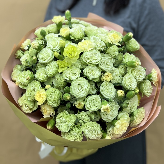 13 зеленых кустовых роз с гвоздикой