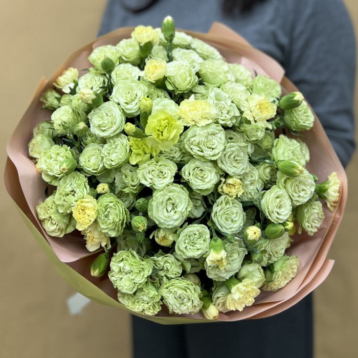 13 зеленых кустовых роз с гвоздикой