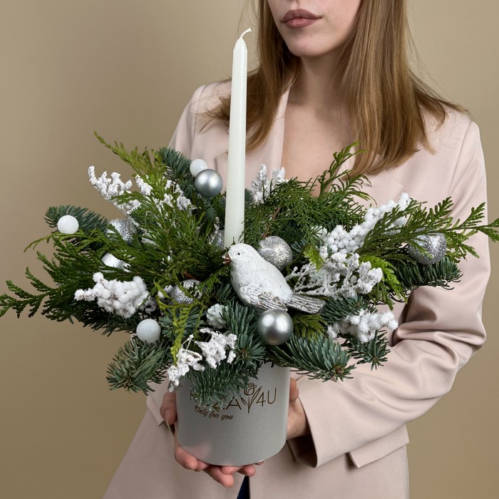 Новогодний сет Серебро