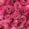 25 сиреневых роз Куинс Краун 50 см