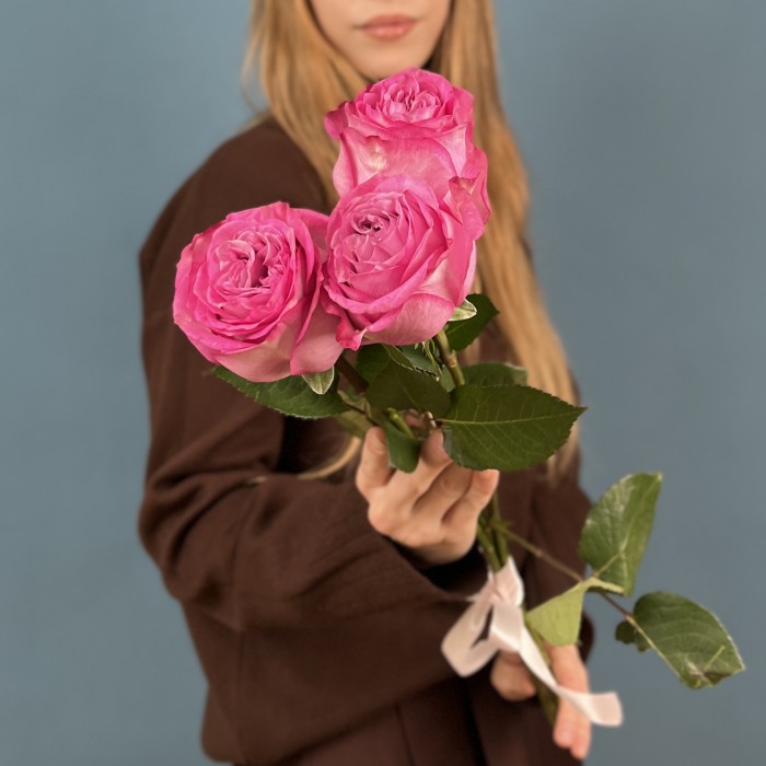 3 сиреневые розы Куинс Краун 50 см