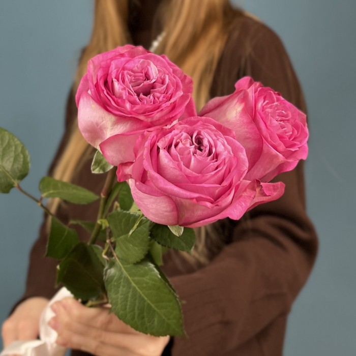 3 сиреневые розы Куинс Краун 50 см