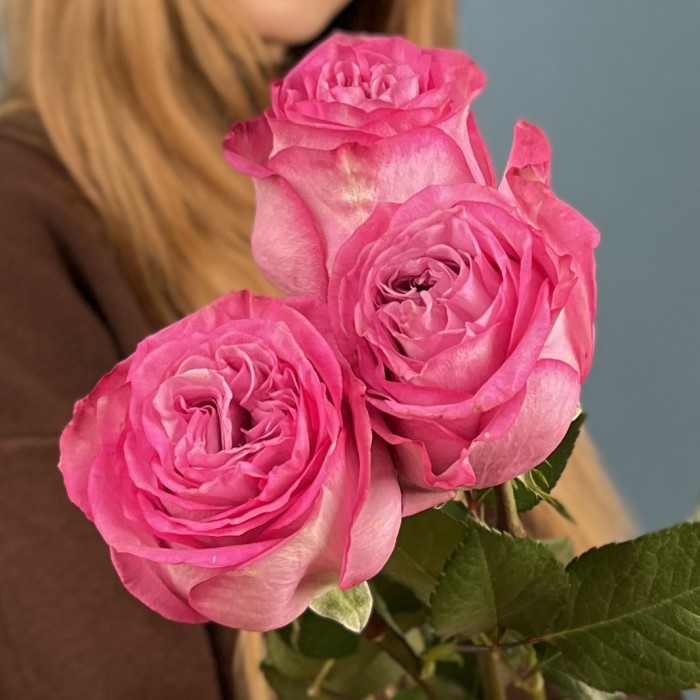 3 сиреневые розы Куинс Краун 50 см