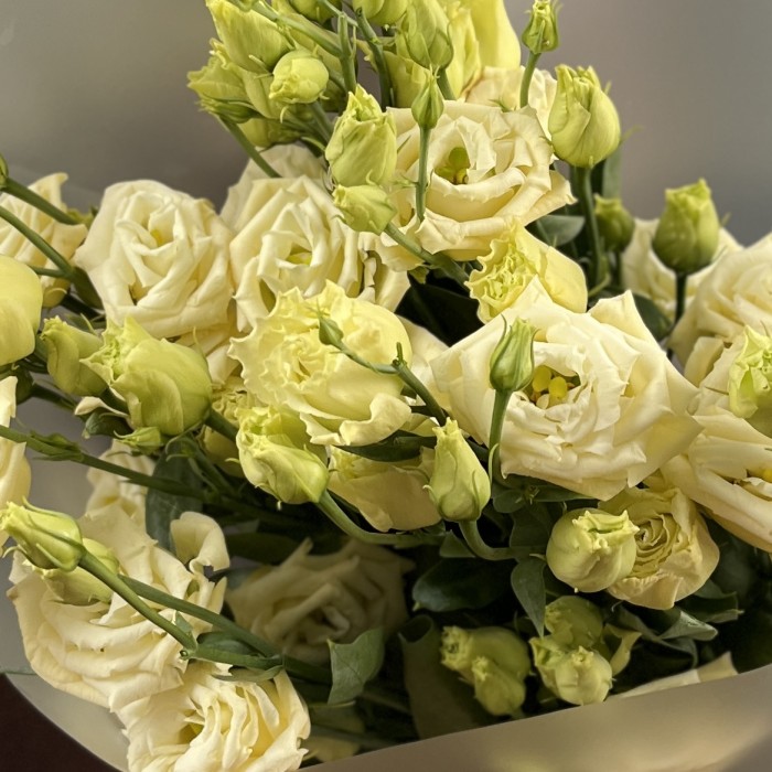 Букет из 5 кремовых эустом