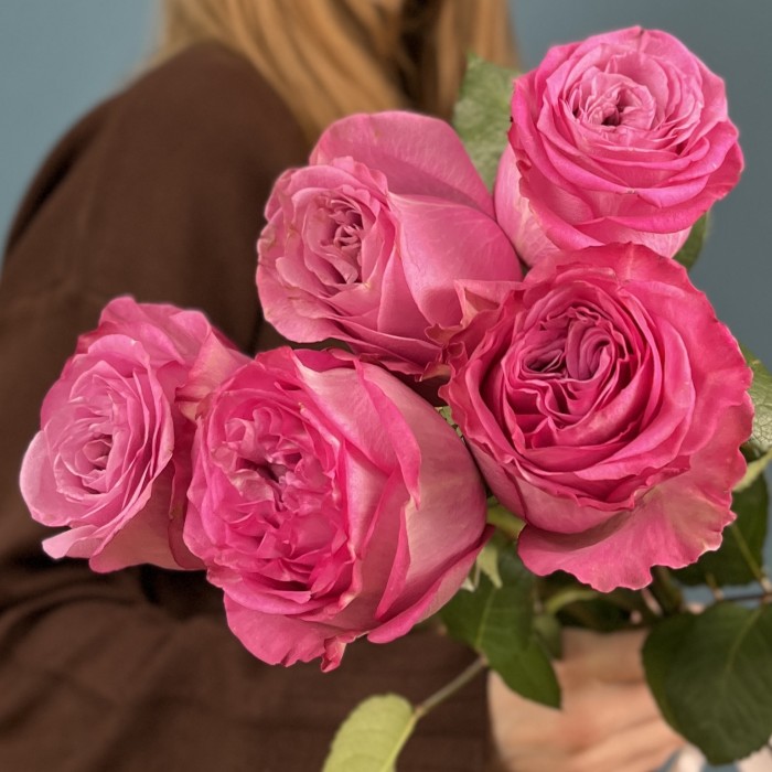 5 сиреневых роз Куинс Краун 50 см