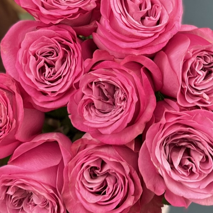 9 сиреневых роз Куинс Краун 60 см