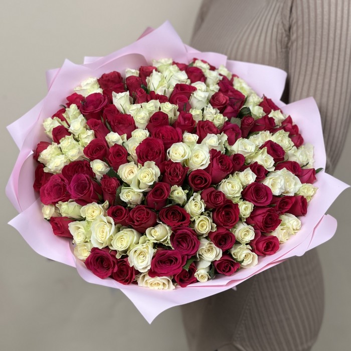 151 бело - малиновая роза 40 см