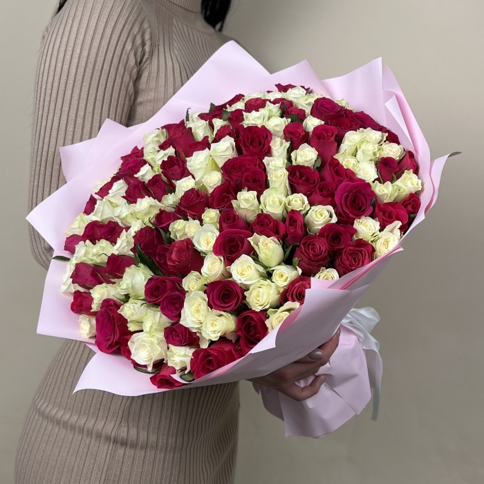 151 бело - малиновая роза 40 см