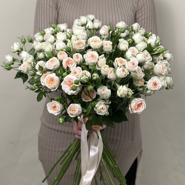 Кустовая кремовая роза Сансер 60 см