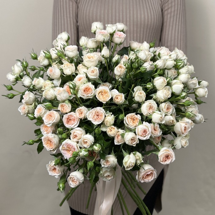 Кустовая кремовая роза Сансер 60 см