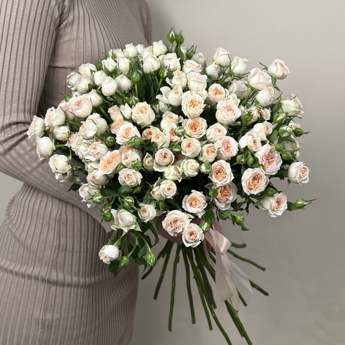 Кустовая кремовая роза Сансер 60 см