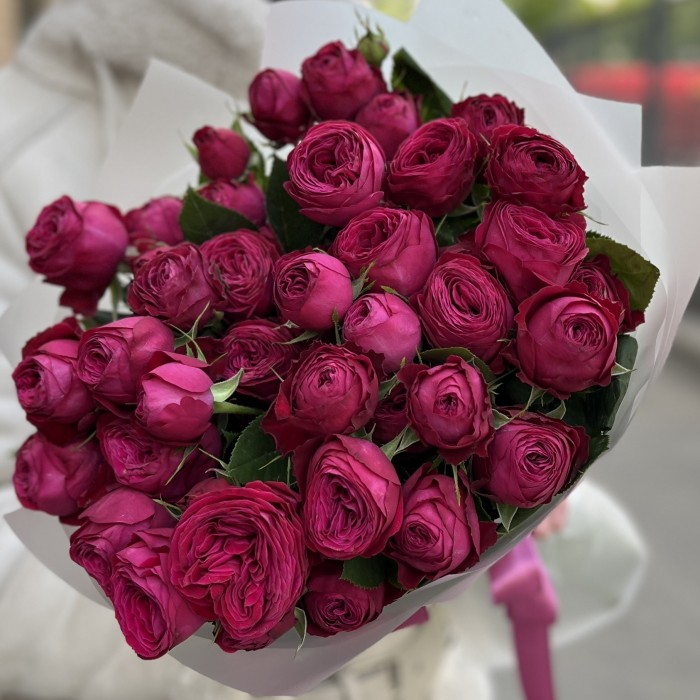 11 кустовых пионовидных роз Пати Тренсеттер