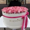201 розы Алани микс в коробке