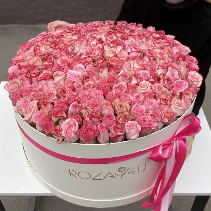 201 розы Алани микс в коробке