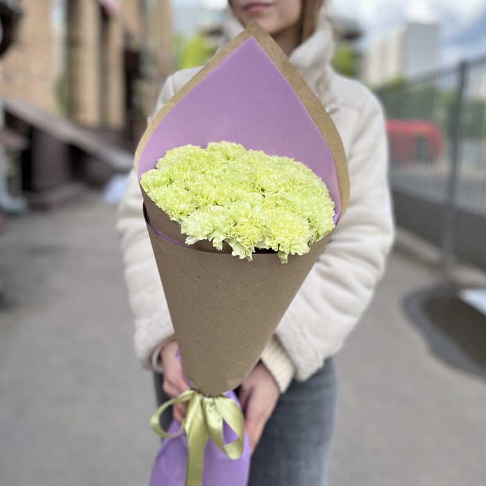 25 нежно-зеленых гвоздик