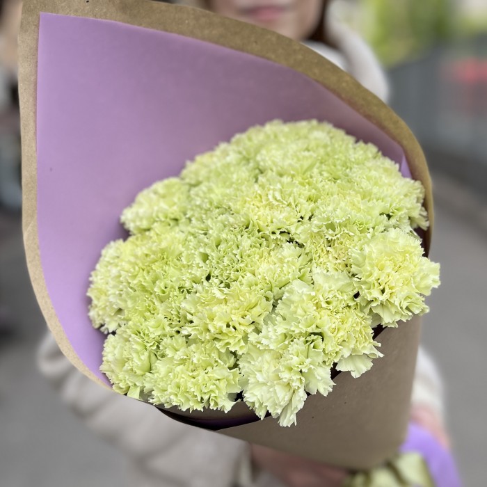 25 нежно-зеленых гвоздик