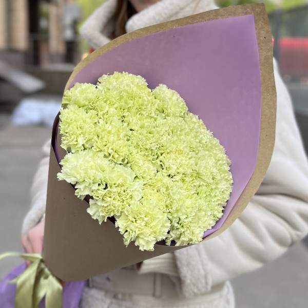 25 нежно-зеленых гвоздик