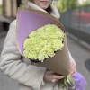 25 нежно-зеленых гвоздик
