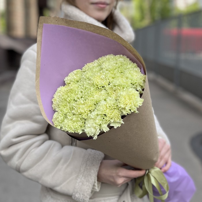 25 нежно-зеленых гвоздик