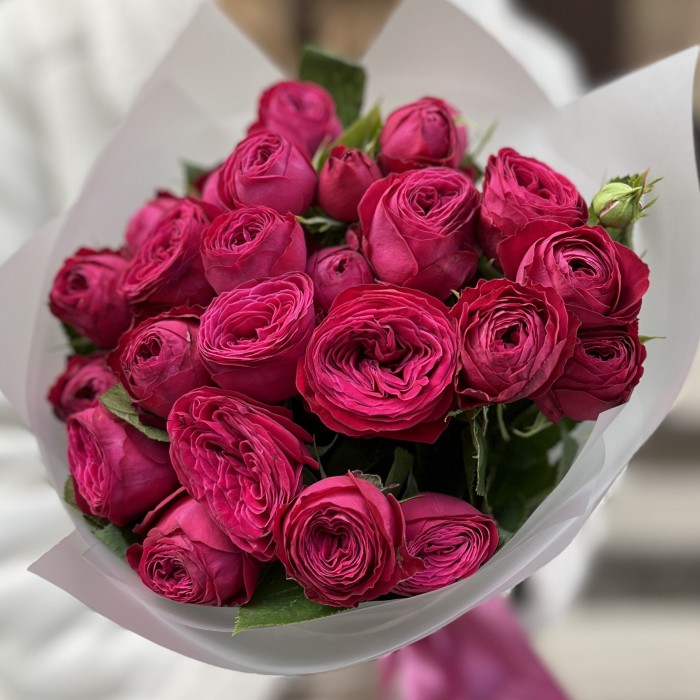 7 кустовых пионовидных роз Пати Тренсеттер