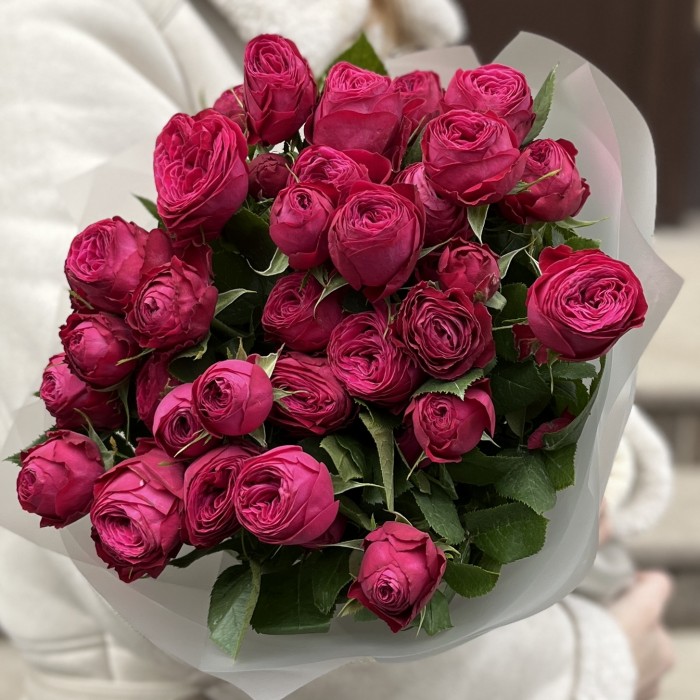 9 малиновых пионовидных роз Пати Тренсеттер