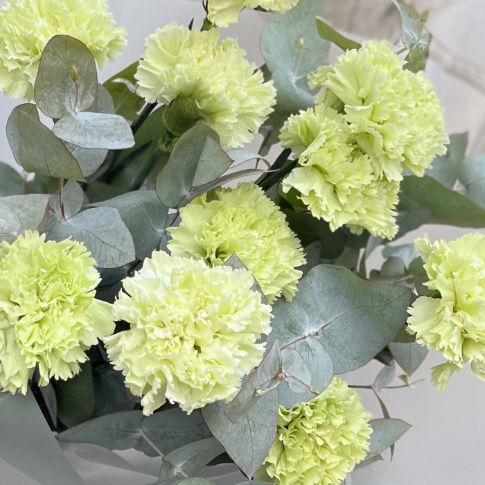 Букет из 11 зеленых гвоздик с эвкалиптом