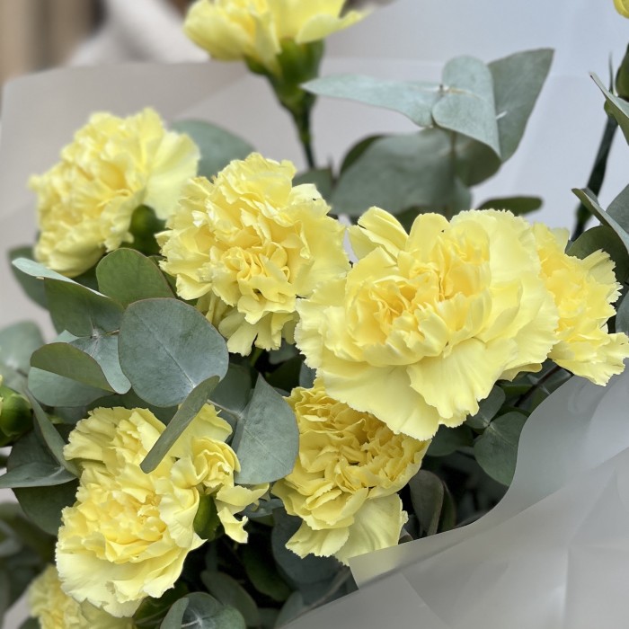 Букет из 11 желтых гвоздик с эвкалиптом