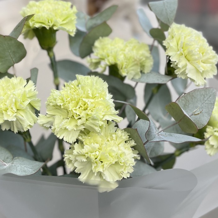 Букет из 7 зеленых гвоздик с эвкалиптом