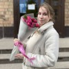 Комплимент из кустовых малиновых роз Пати Тренсеттер