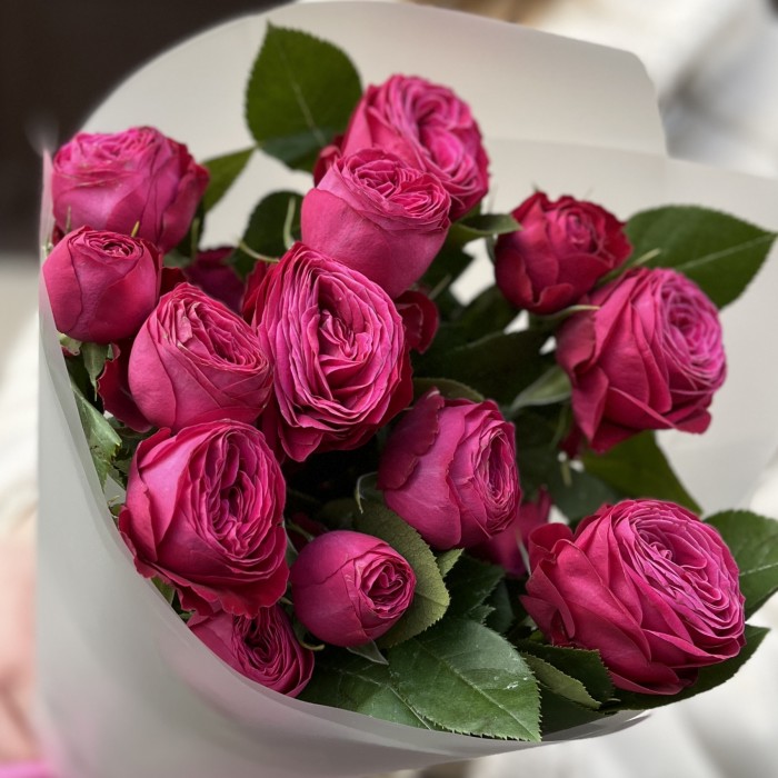 Комплимент из кустовых малиновых роз Пати Тренсеттер